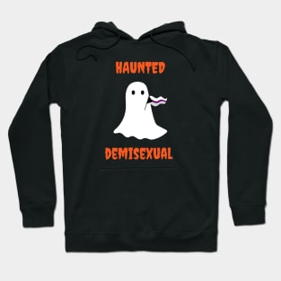 Haunted and Demisexual Hoodie